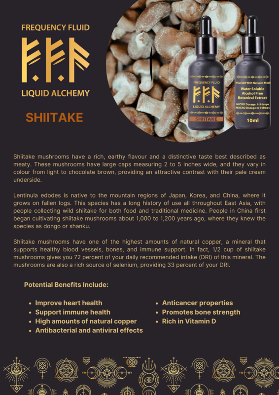 Shiitake Mushroom Botanical Extract 10ml - Frequency Fluid