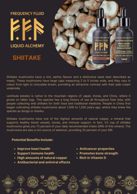 Shiitake Mushroom Botanical Extract 10ml - Frequency Fluid