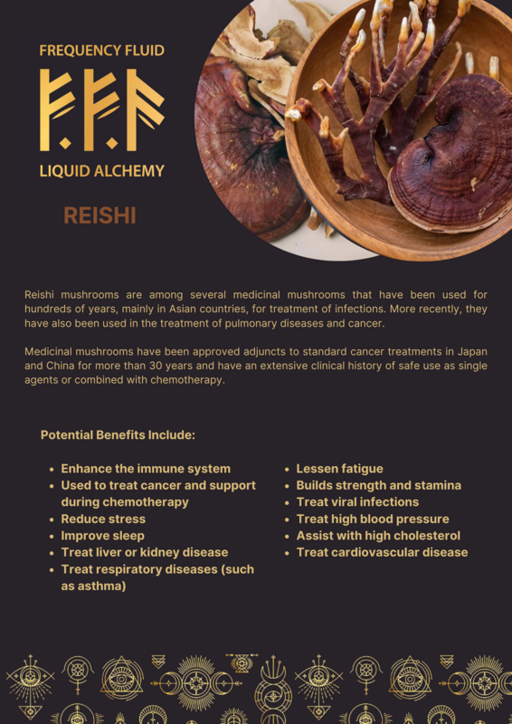 Reishi Mushroom Botanical Extract 10ml - Frequency Fluid
