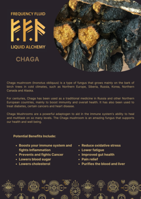 Chaga Mushroom Botanical Extract 10ml - Frequency Fluid