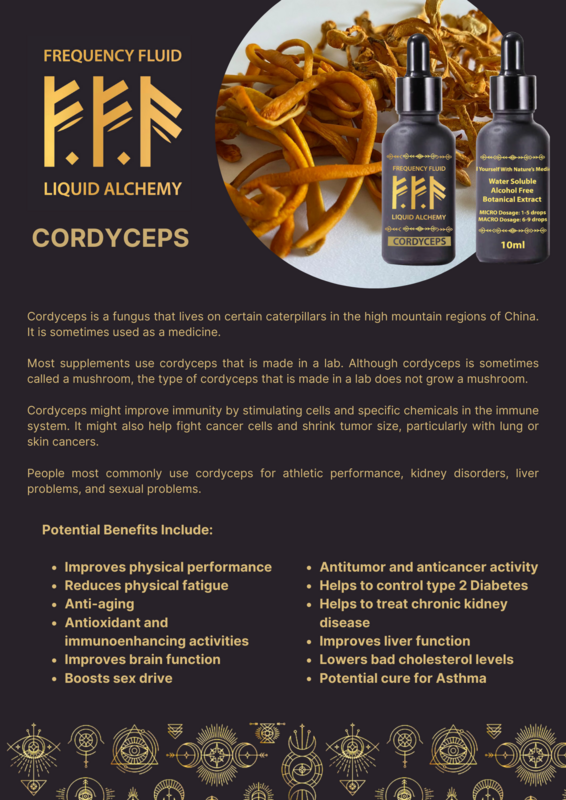 Cordyceps Mushroom Botanical Extract 10ml - Frequency Fluid