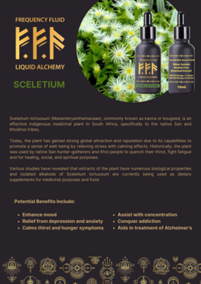 Sceletium (Kanna) Botanical Extract 10ml - Frequency Fluid