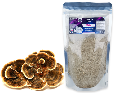 100g Turkey Tail Medicinal Mushroom Powder