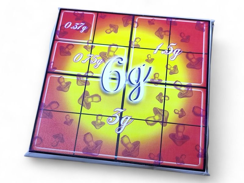 6g P. cubensis Mushroom Swiss Chocolate Slab – Pre-Order