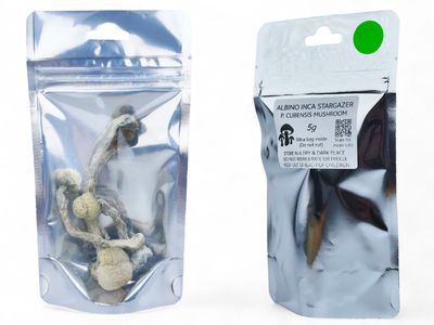 Albino Inca Stargazer P. cubensis Mushroom - 5g Pack