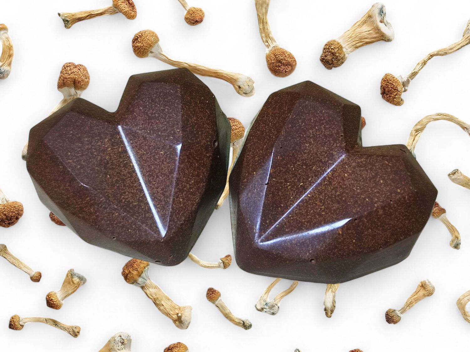 1g P. cubensis Mushroom Swiss Chocolate