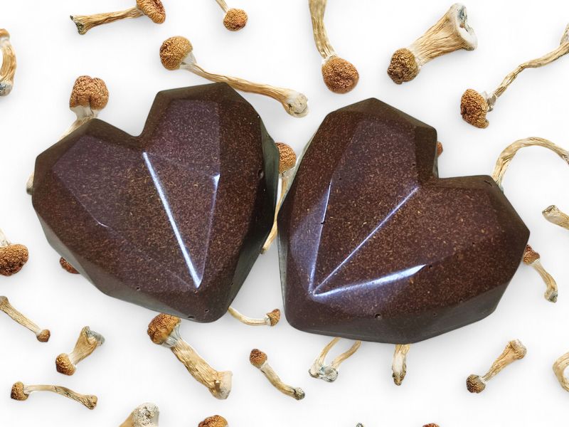 1g P. cubensis Mushroom Swiss Chocolate