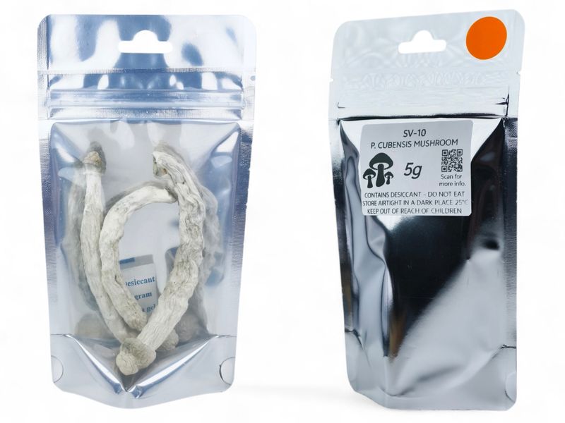 SV-10 P. cubensis Mushroom - 5g Pack