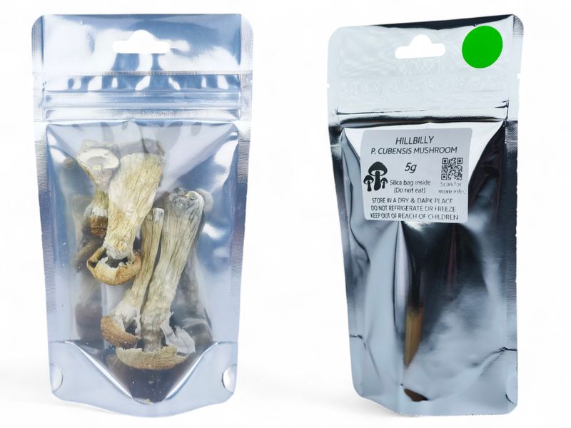 Hillbilly P. cubensis Mushroom - 5g Pack