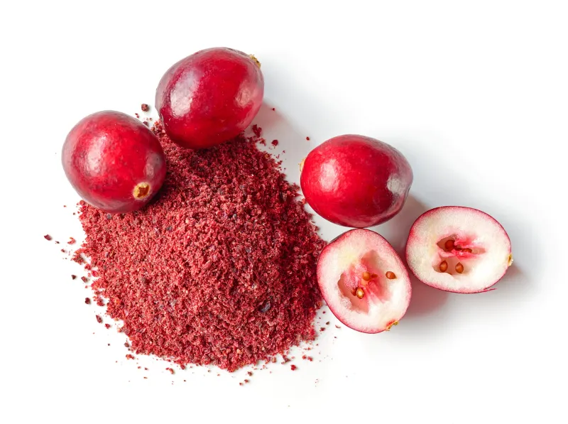 100g Cranberry 4:1 Extract Powder