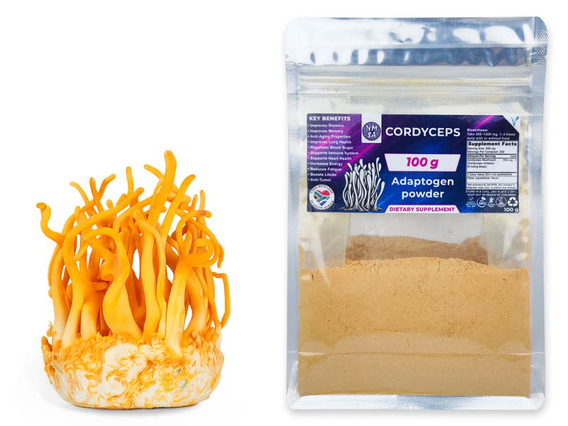 100g Cordyceps Medicinal Mushroom Powder