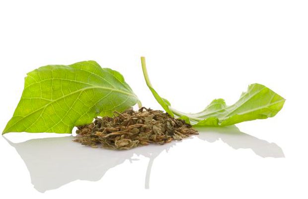 Salvia Divinorum Dry Leaf per g
