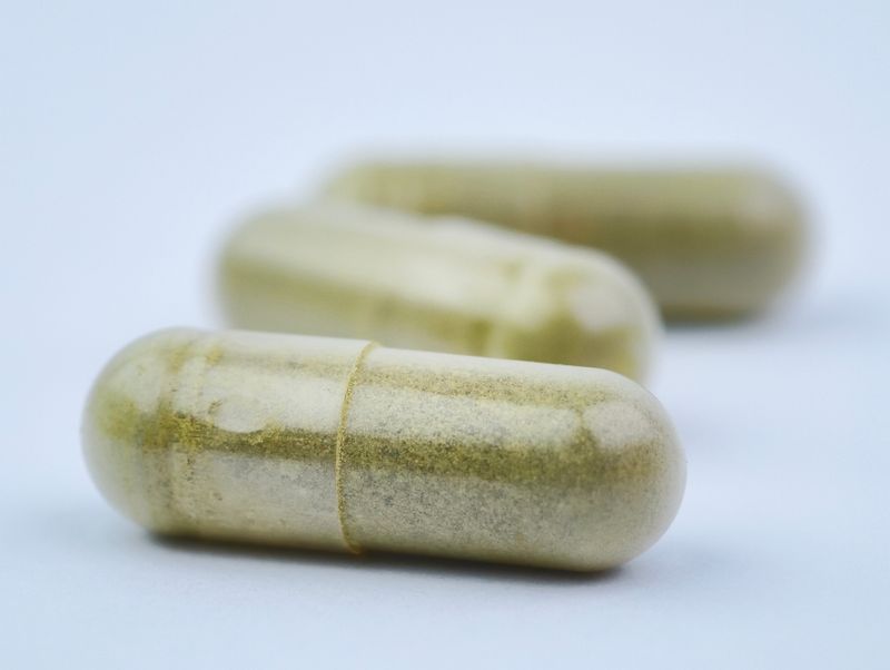 Mescaline Cactus Microdose Sample Pack