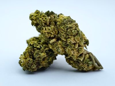 Berry Bomb Outdoor p/g