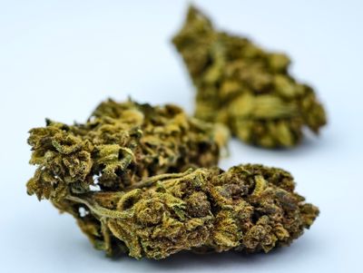 Pineapple Chunk Outdoor p/g