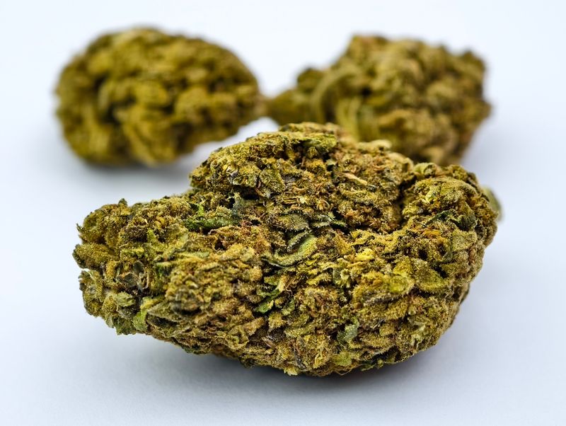 Strawberry Citadel Outdoor p/g