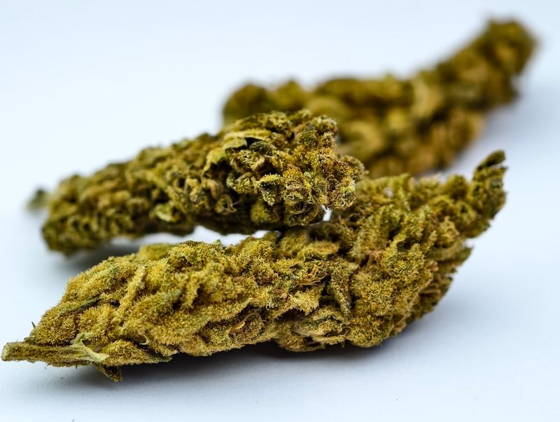 Aurora Outdoor p/g