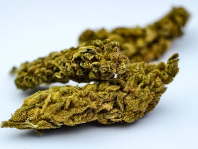 Aurora Outdoor p/g