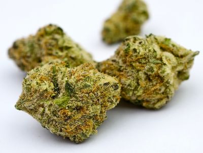 Cherry Pie Indoor p/g