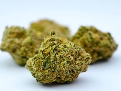 Cherry Pie Indoor p/g