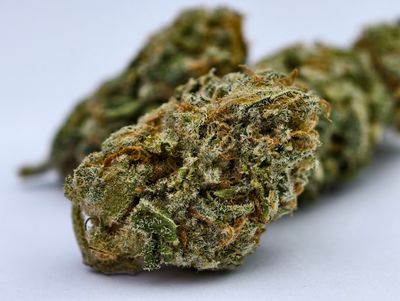 Papaya Bomb Indoor p/g