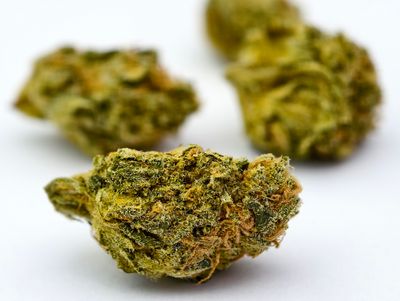 Papaya Bomb Indoor p/g