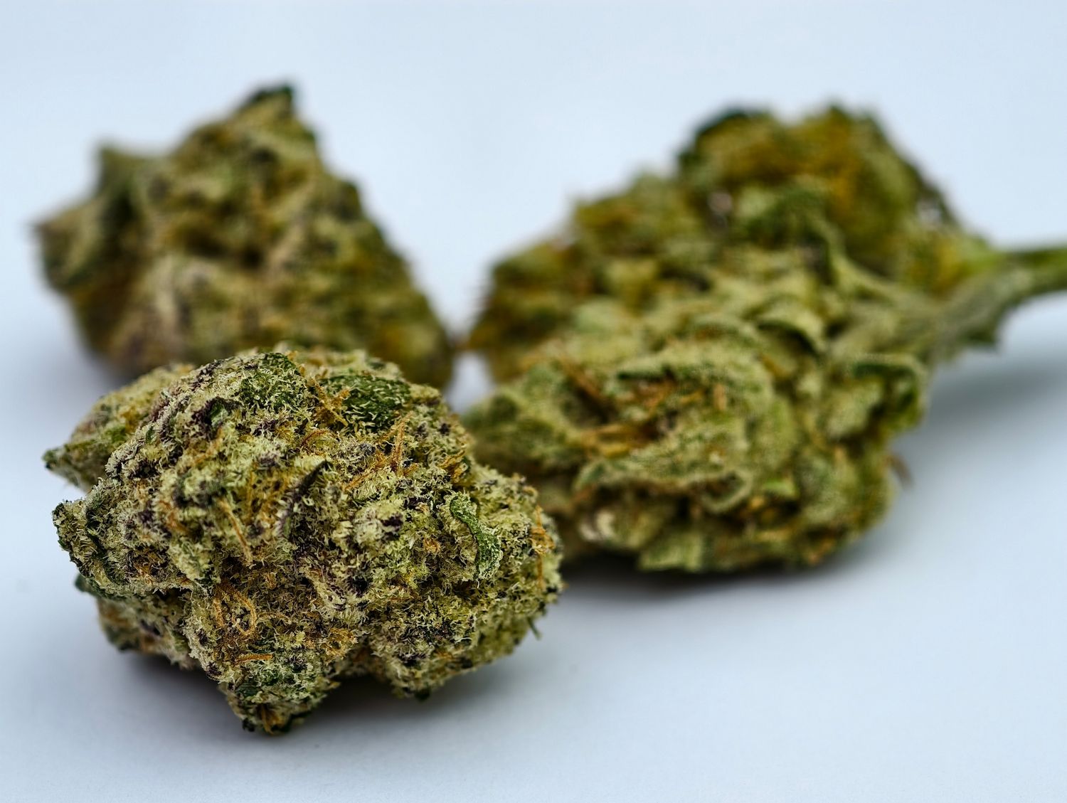 Blue Diesel Indoor p/g