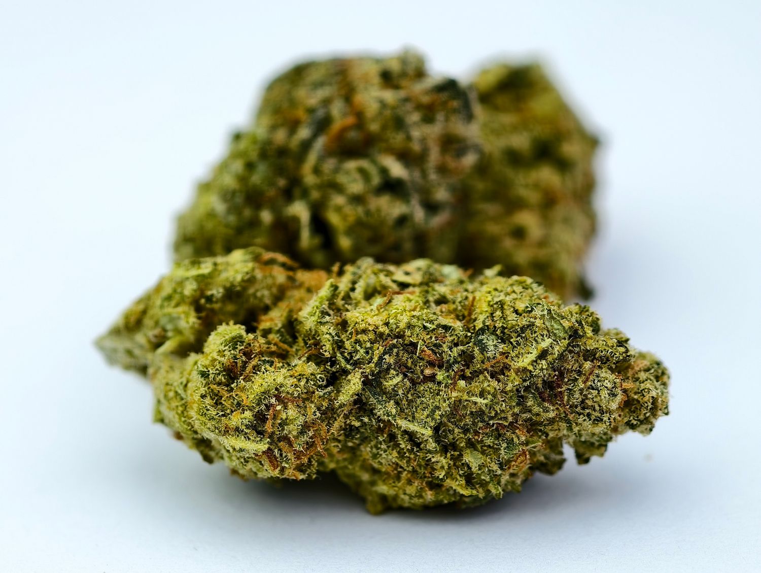 OG Kush Indoor p/g