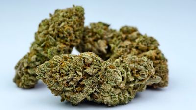 Grape Diamond Indoor p/g