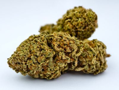 Grape Diamond Indoor p/g