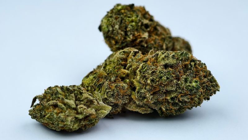 Face on Fire Indoor p/g