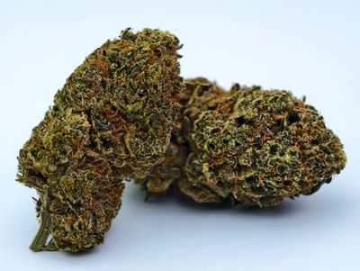 Face on Fire Indoor p/g
