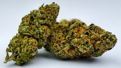 Jamaican Wedding Indoor p/g