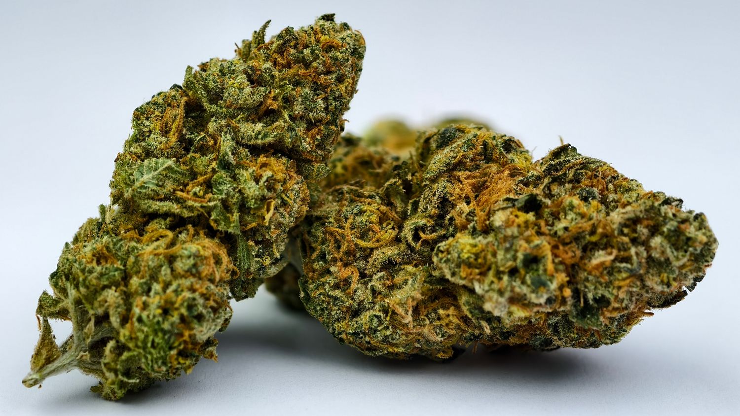 Jamaican Wedding Indoor p/g