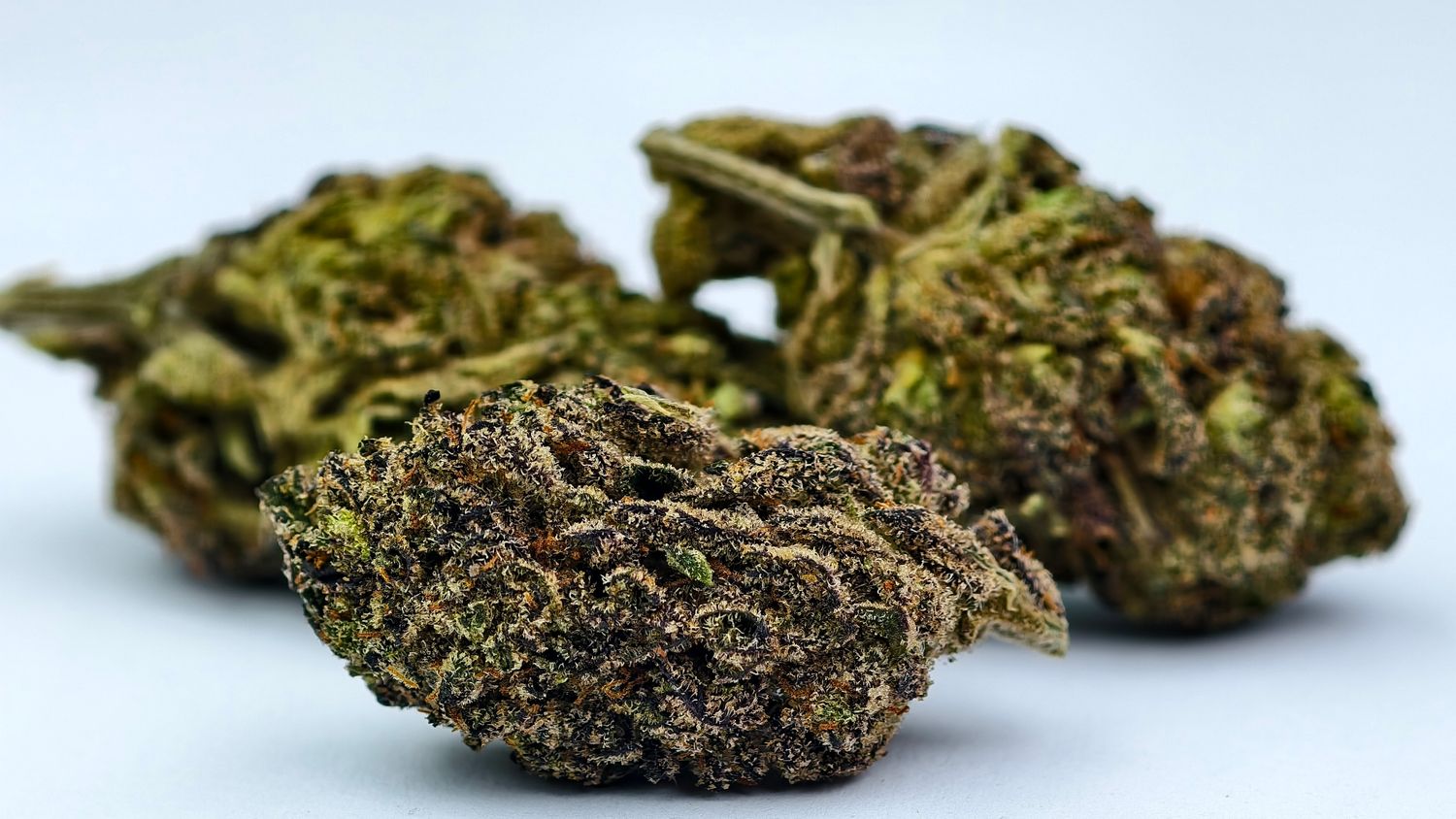 Tigerz Eye Indoor p/g