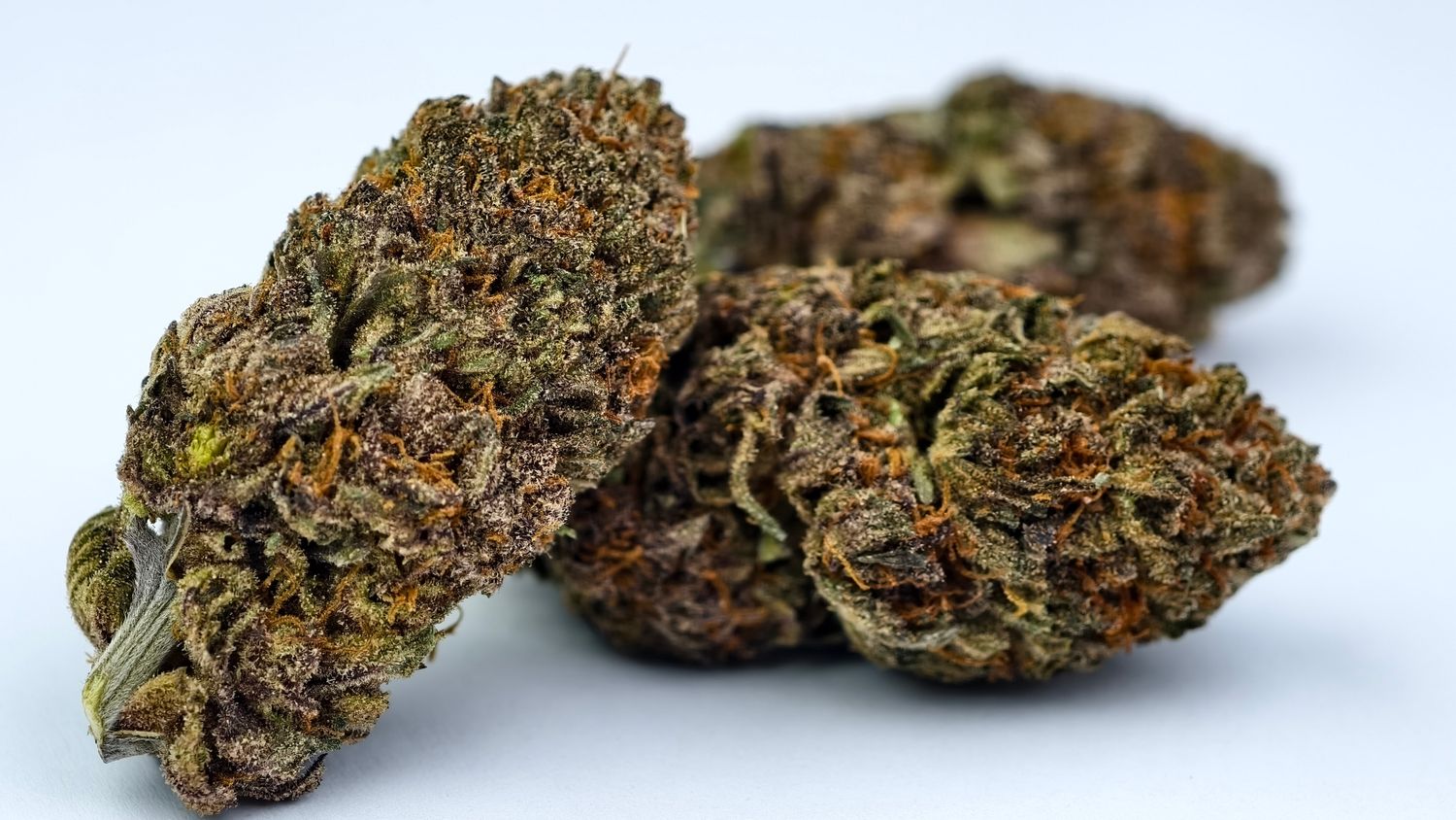 Demon Slayer Indoor p/g