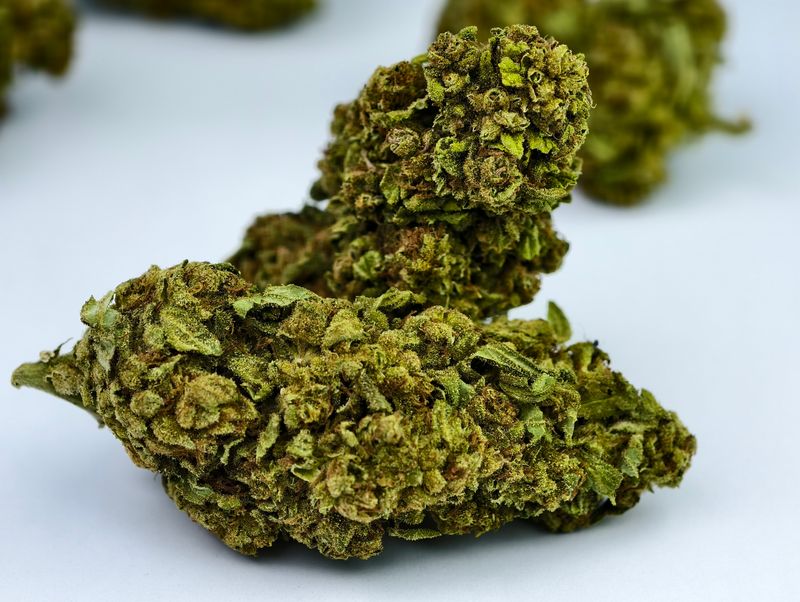 Mochi Outdoor p/g