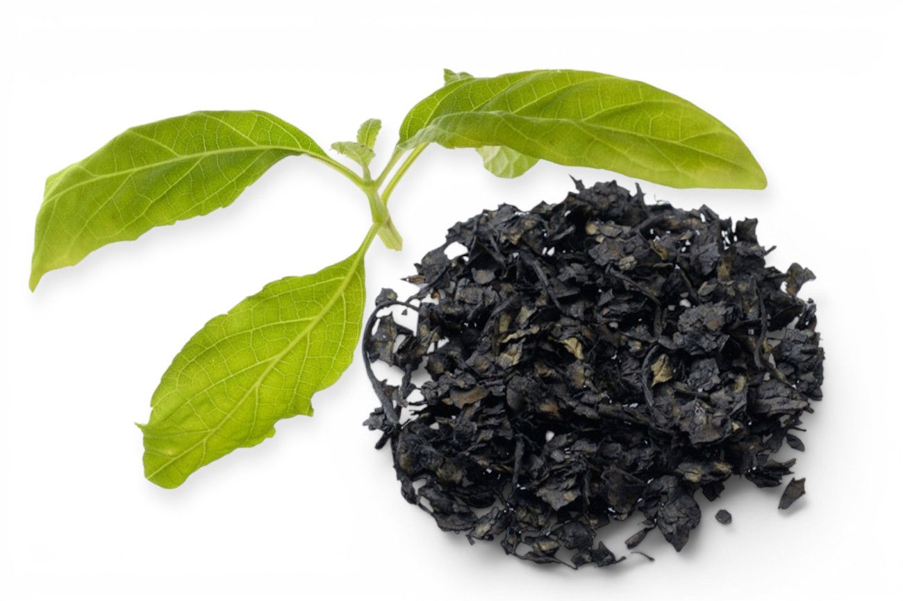 Salvia Divinorum Extract per g