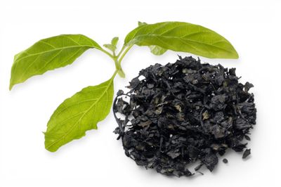 Salvia Divinorum Extract per g