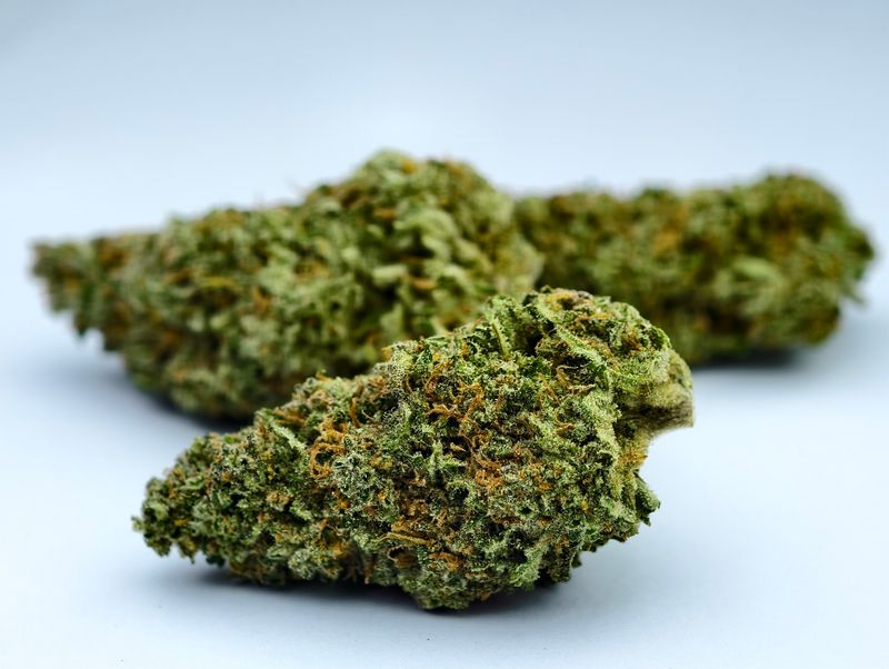 Strawberry Cough Greendoor p/g