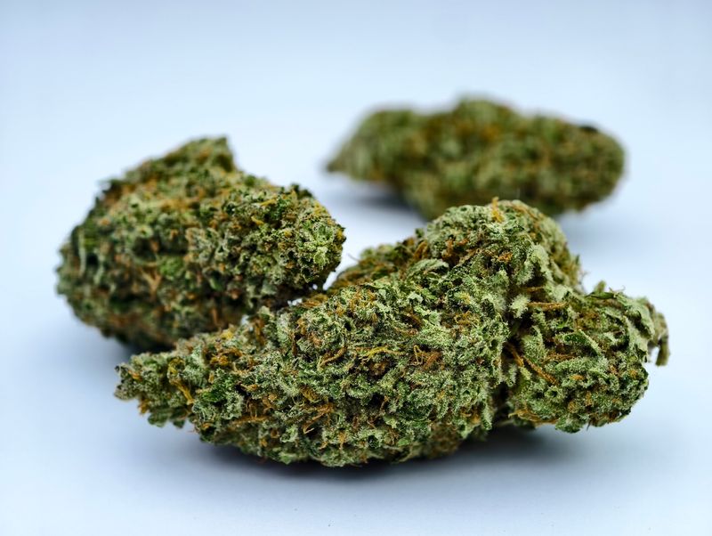Strawberry Cough Greendoor p/g