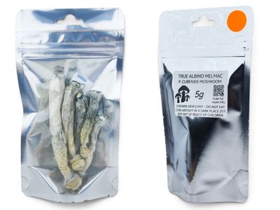 True Albino Melmac P. cubensis Mushroom - 5g Pack