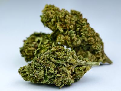 Marshmallow Gelato Outdoor p/g