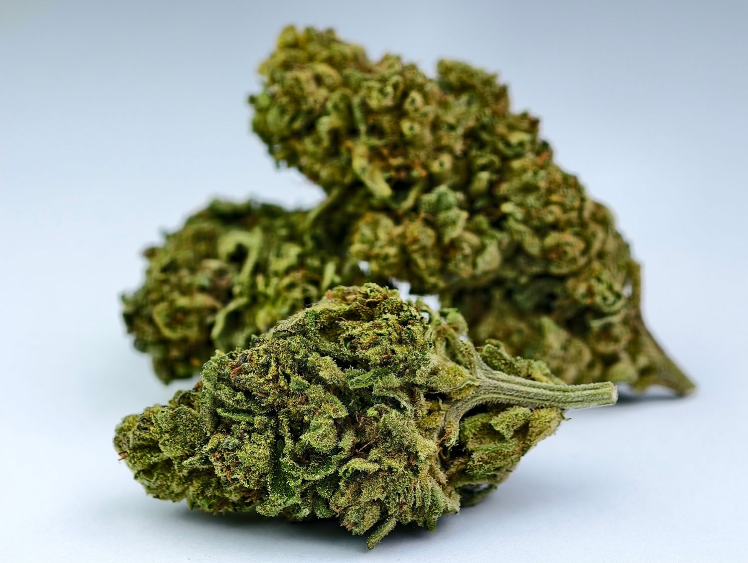 Marshmallow Gelato Outdoor p/g