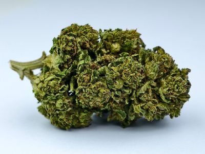 Marshmallow Gelato Outdoor p/g