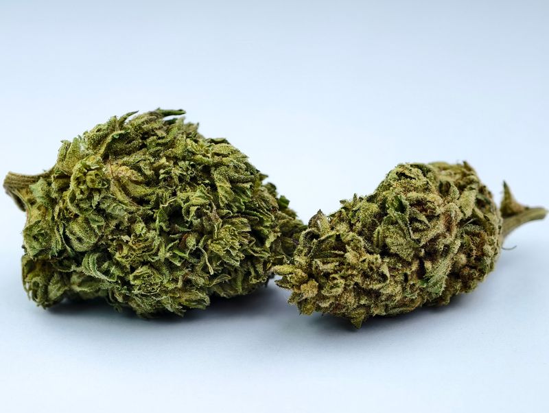 Platinum Squattro Outdoor p/g