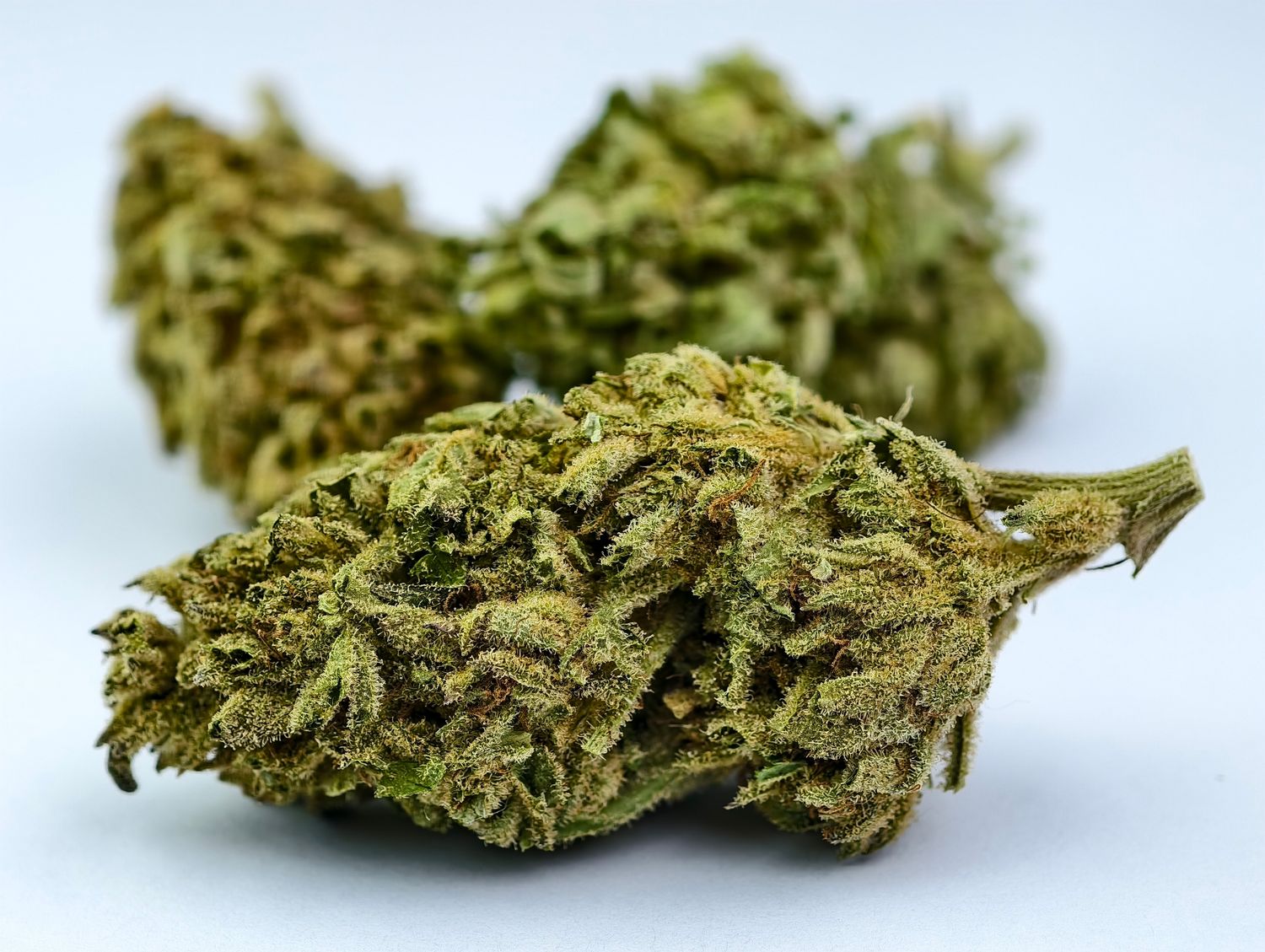 Platinum Squattro Outdoor p/g