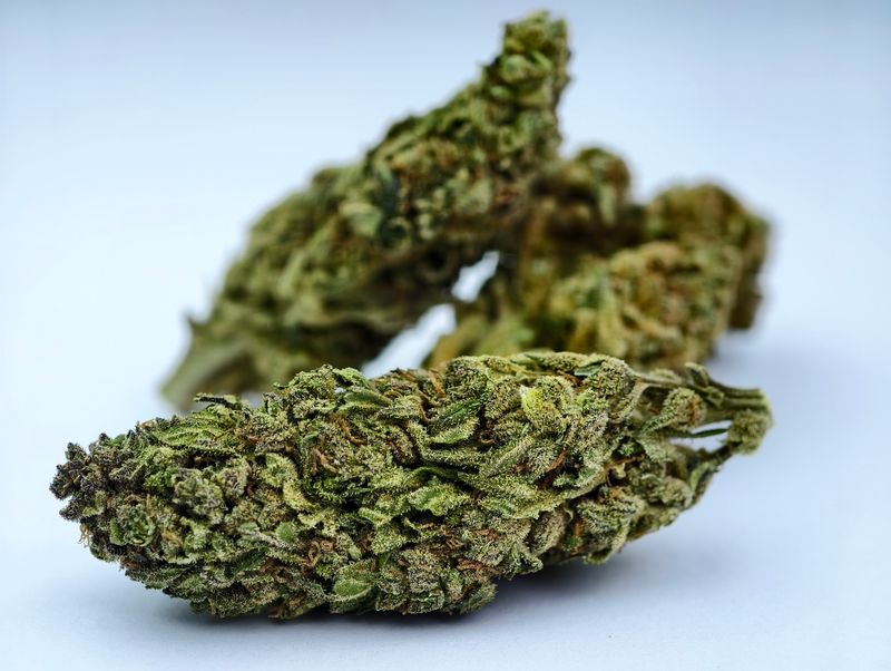 G13 Outdoor p/g