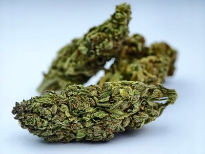 G13 Outdoor p/g