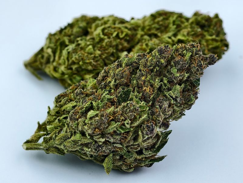 G13 Outdoor p/g